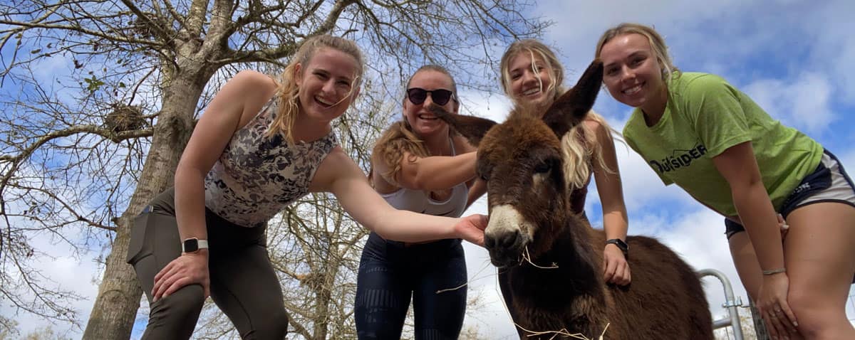 Group of Female Students with a Mule