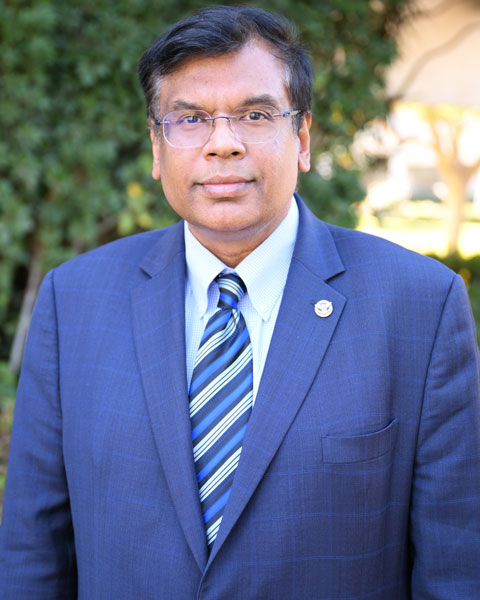 Vivek Lall