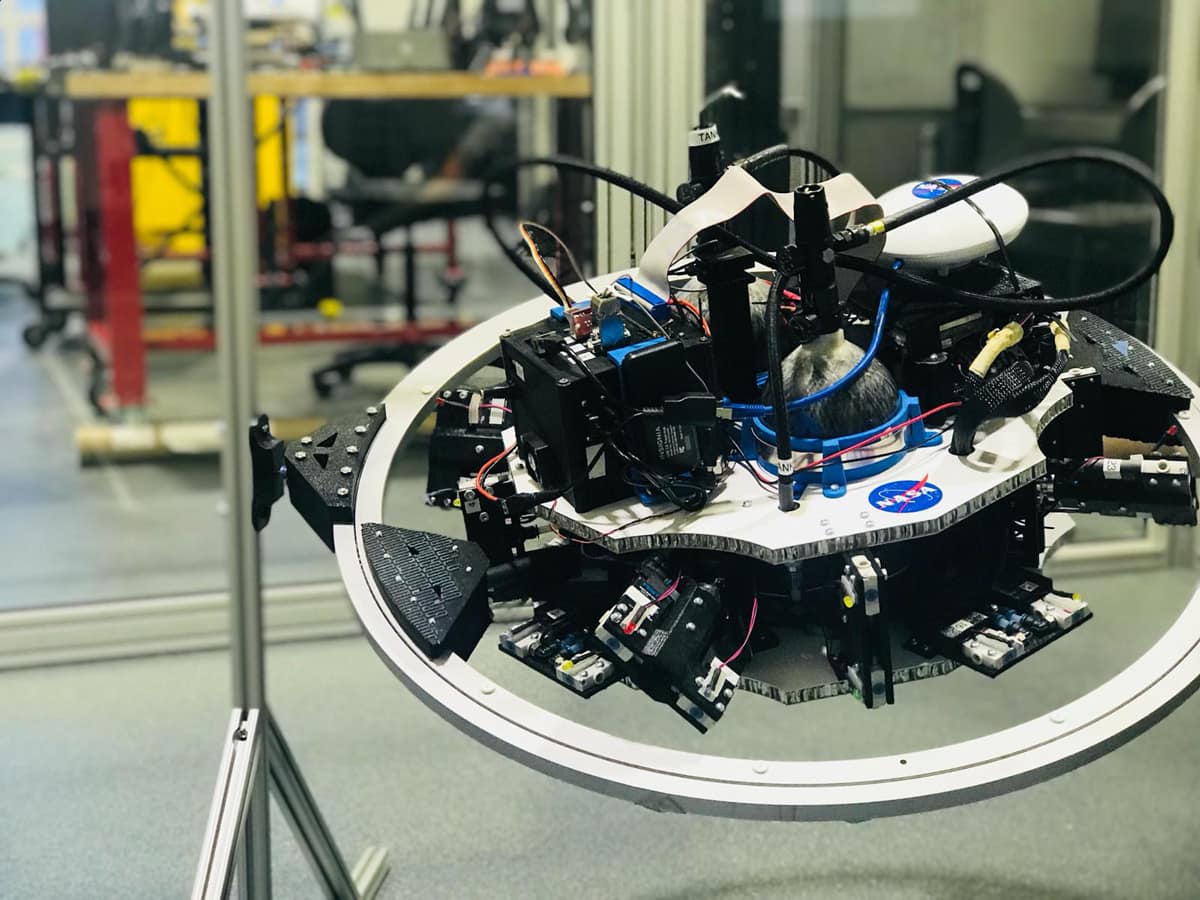 Robot sits on a stand