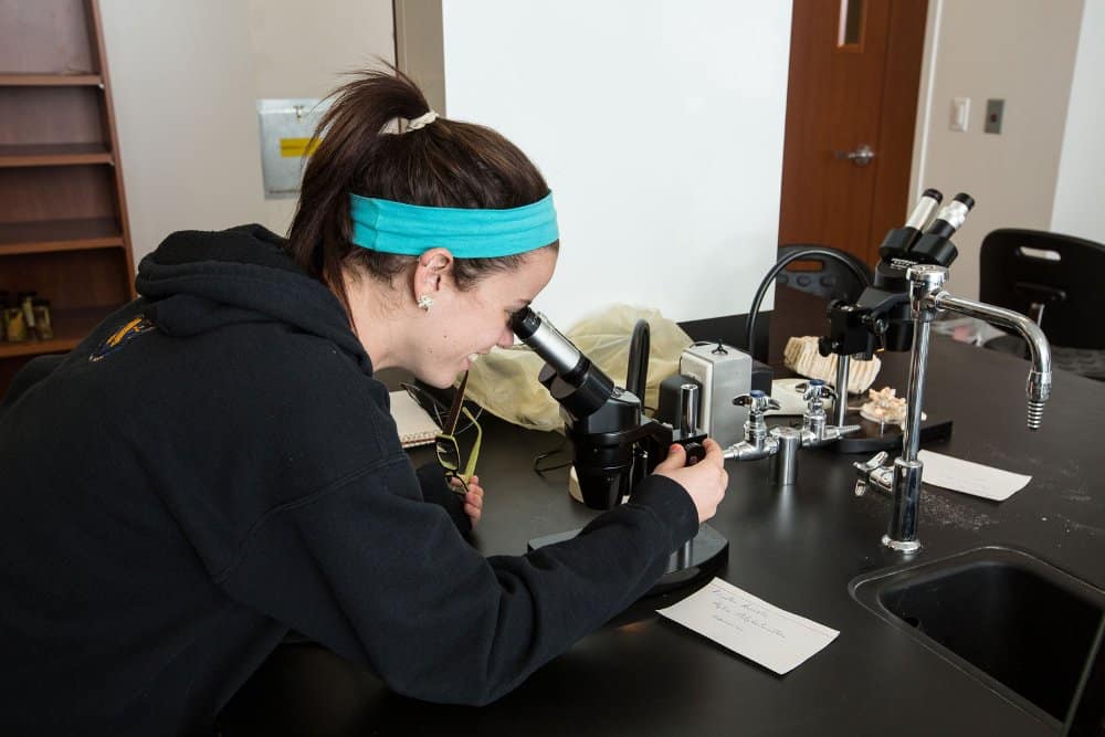 A student looks through a microscope