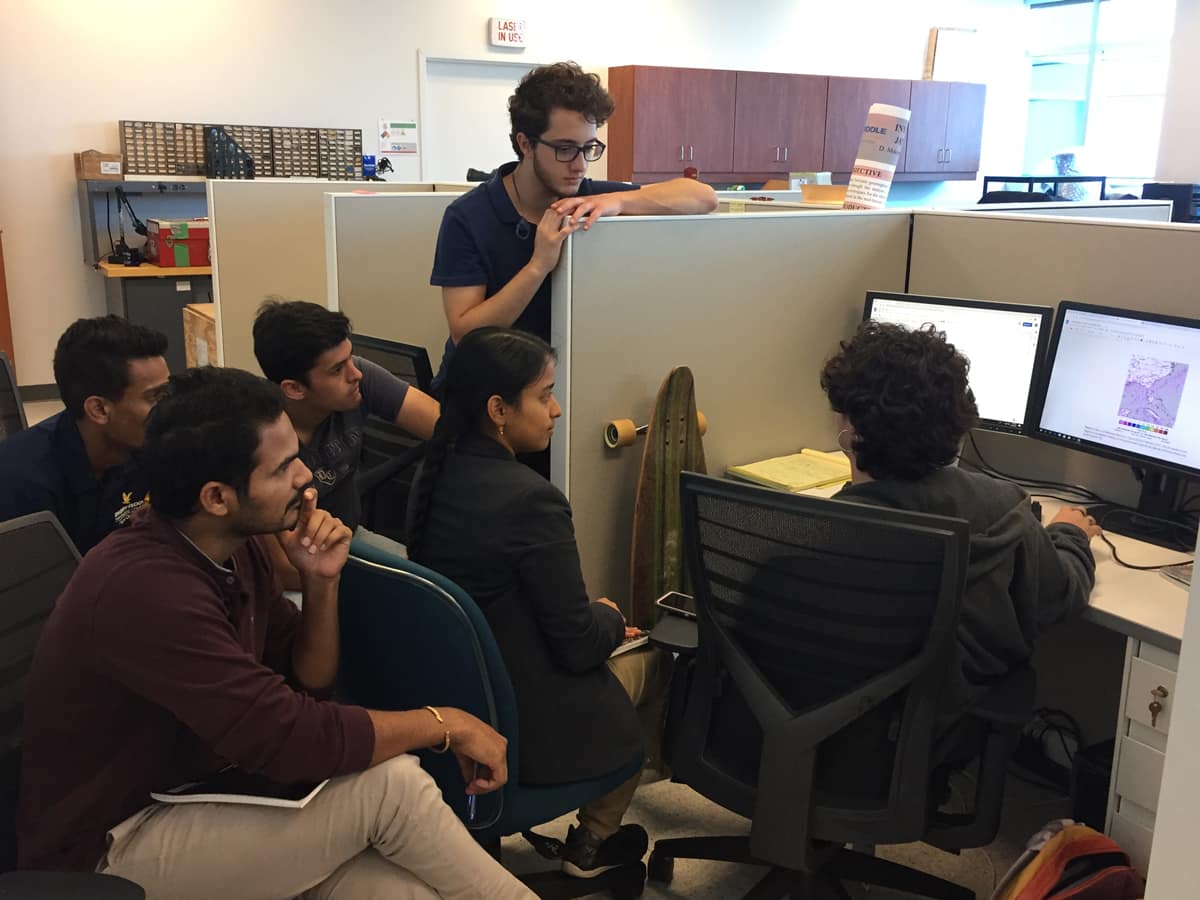 Team deep into discussion during one of the group meetings