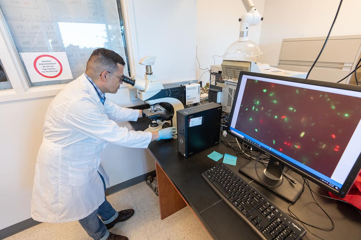 Dr. Hugo Castillo uses a microscope to view a sample in the Space Microbiology Lab. 