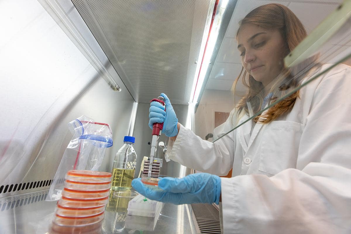 Embry-Riddle student Paulina Slick prepares samples under a fume hood in the Space Microbiology Lab.