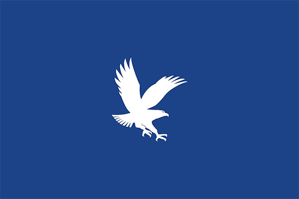 ERAU Blue Logo Background